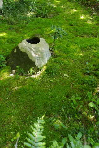e0045768_22413149.jpg
