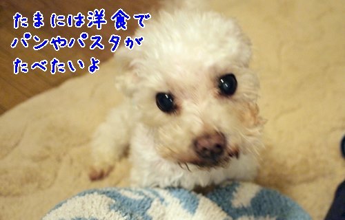 e0248268_23520363.jpg
