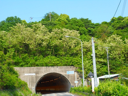 e0175370_901231.jpg