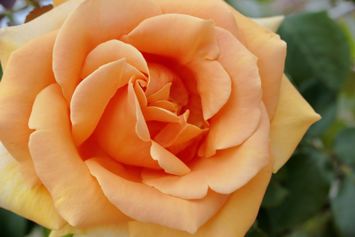 c0268775_07000927.jpg