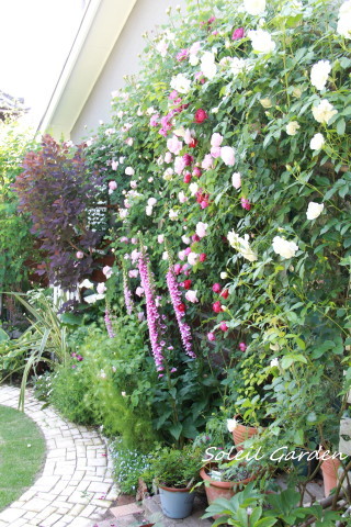 e0154682_00072369.jpg