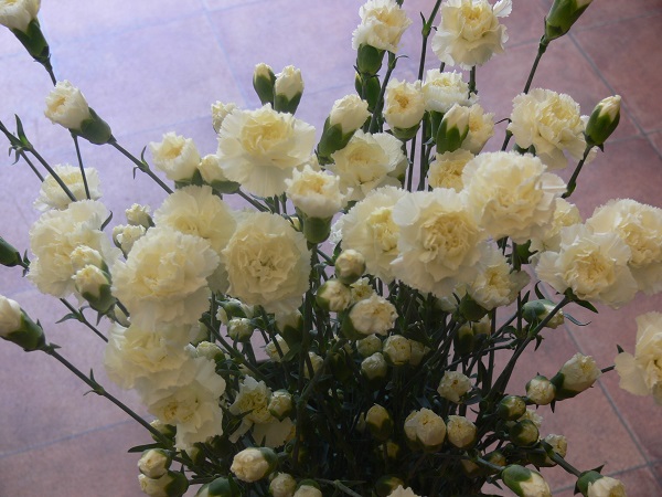 e0140986_1811872.jpg