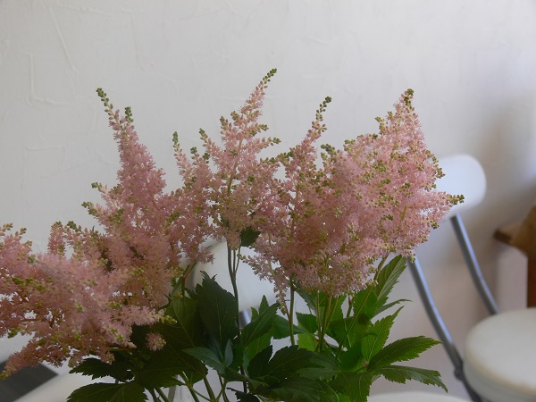 e0140986_1831998.jpg