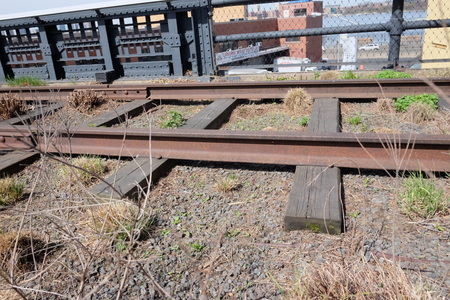 c0013687_901989.jpg