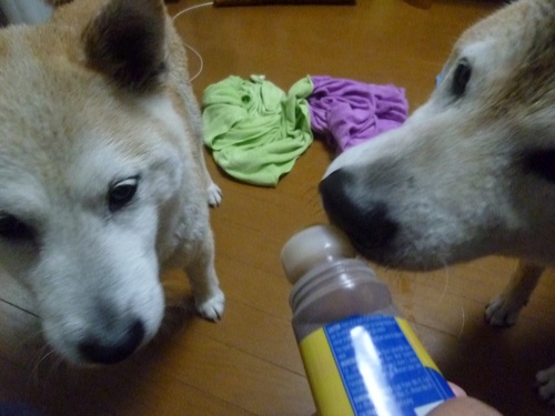 c0123890_22122514.jpg