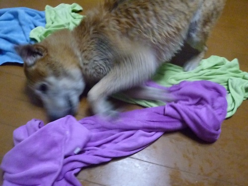 c0123890_22132522.jpg