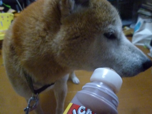 c0123890_22141778.jpg