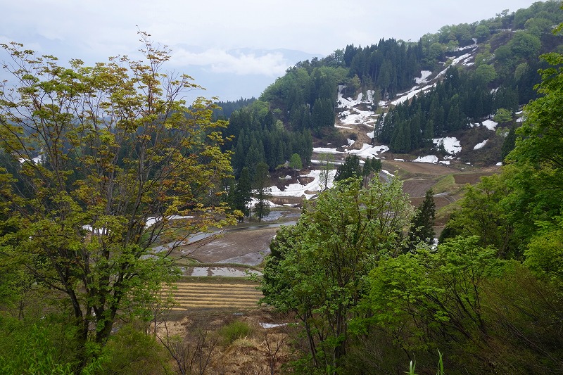 b0255992_18321547.jpg