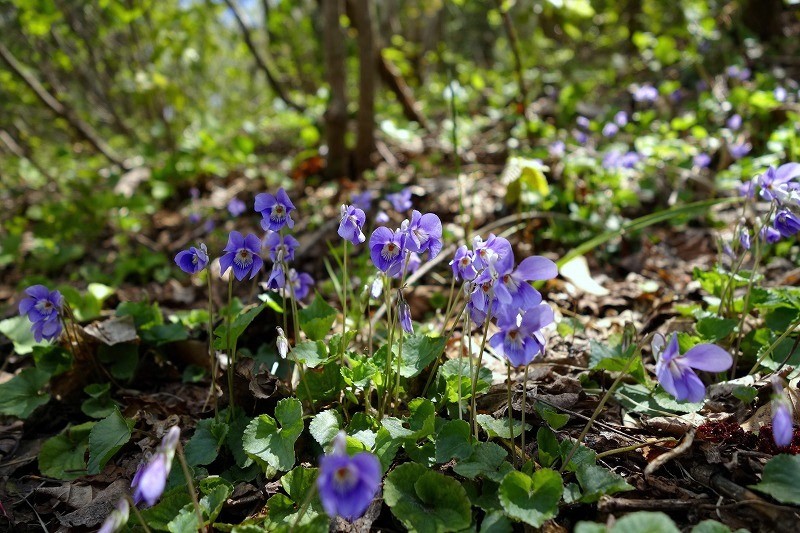 b0255992_2056210.jpg