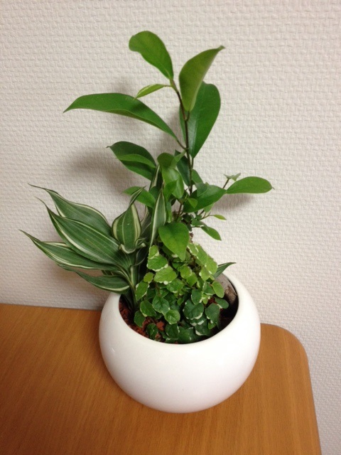 f0204295_2091861.jpg