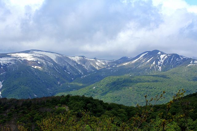 e0137200_2217617.jpg