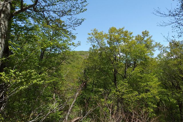 e0137200_22181537.jpg