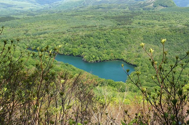 e0137200_22184344.jpg