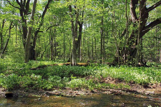 e0137200_22203095.jpg