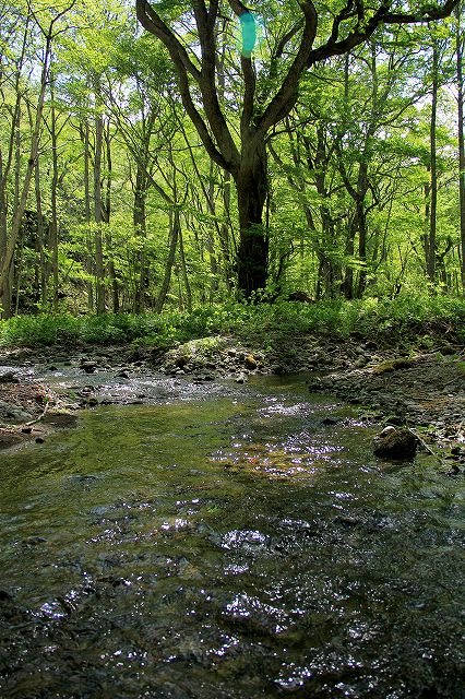 e0137200_22204739.jpg