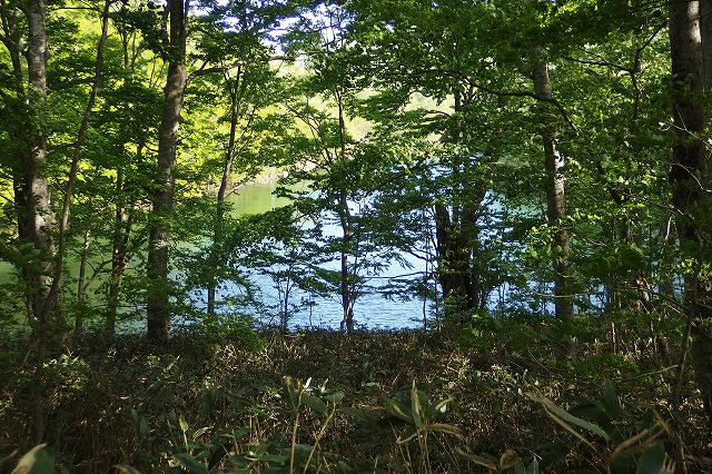 e0137200_22231752.jpg