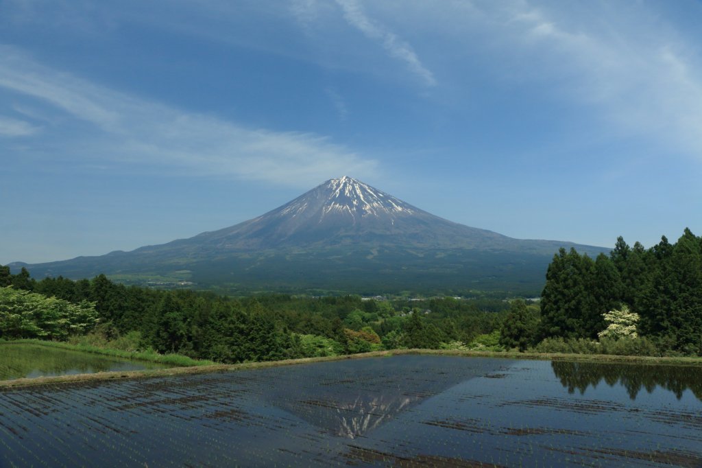 a0188405_23290922.jpg