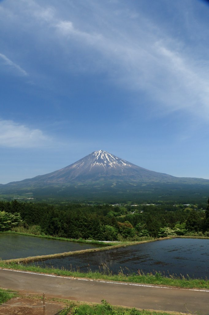 a0188405_23291785.jpg