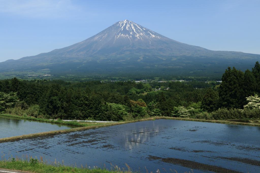 a0188405_23294628.jpg