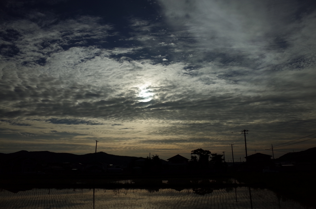 b0050305_65650100.jpg