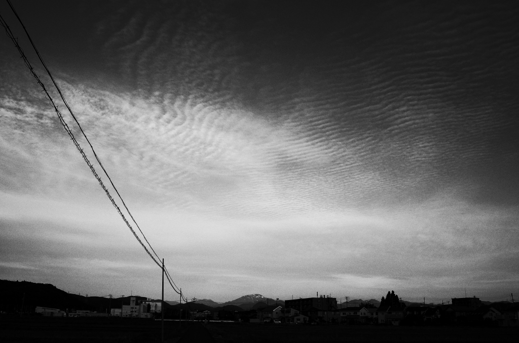 b0050305_6572100.jpg