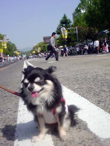e0177509_20302180.jpg