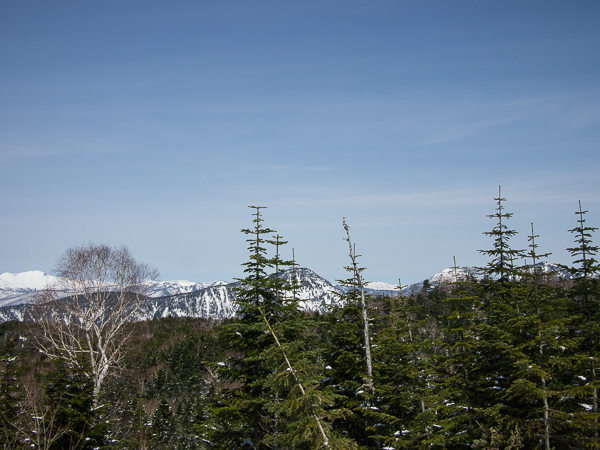 b0244811_0565475.jpg