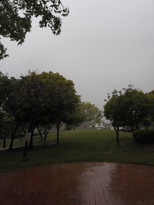 c0116915_23273266.jpg