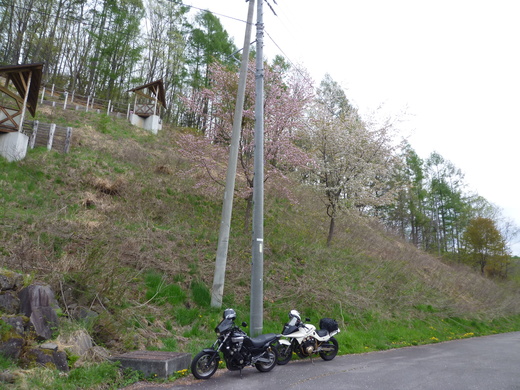 d0221319_646991.jpg