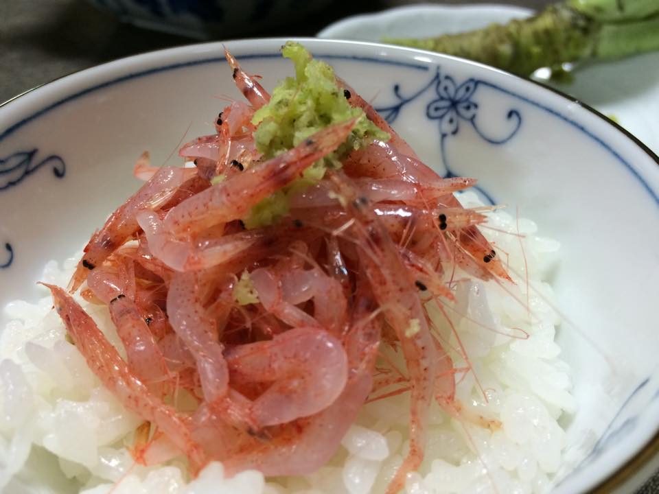 b0188121_2342540.jpg