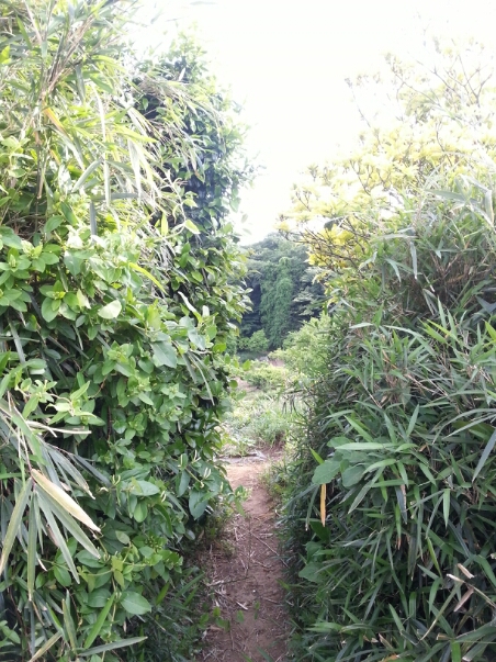 c0049825_17423013.jpg