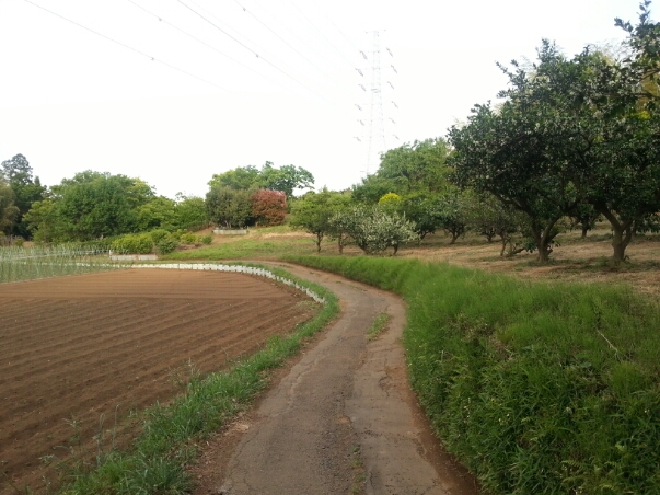 c0049825_1743331.jpg