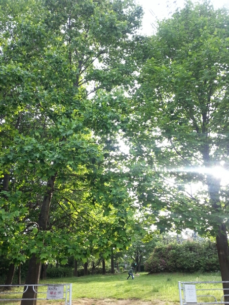 c0049825_17471086.jpg