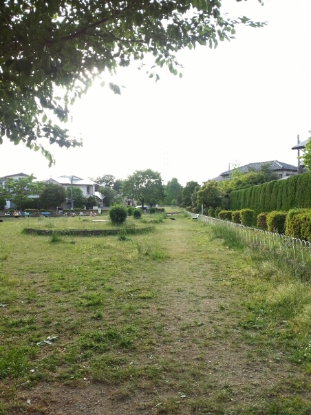 c0049825_17494541.jpg