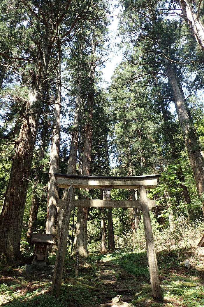 c0064025_19152484.jpg