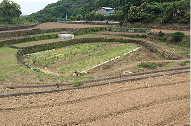 e0090926_09115834.jpg