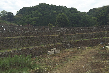 e0090926_09120309.jpg