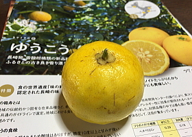 e0090926_09283025.jpg