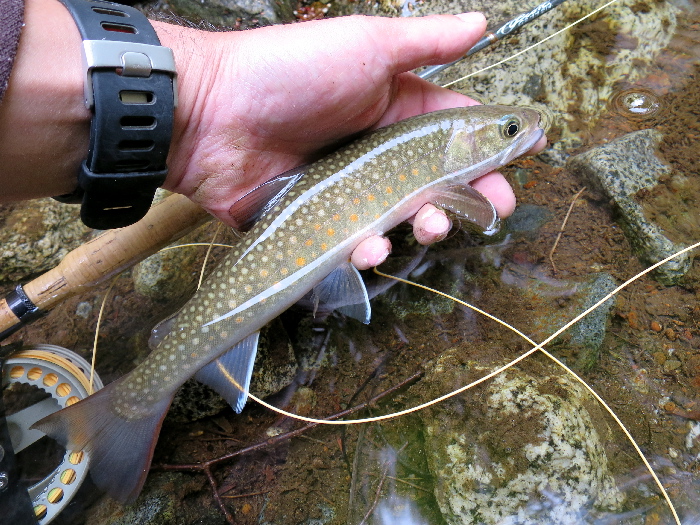 f0103126_2228411.jpg
