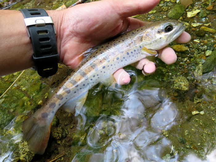 f0103126_22312617.jpg