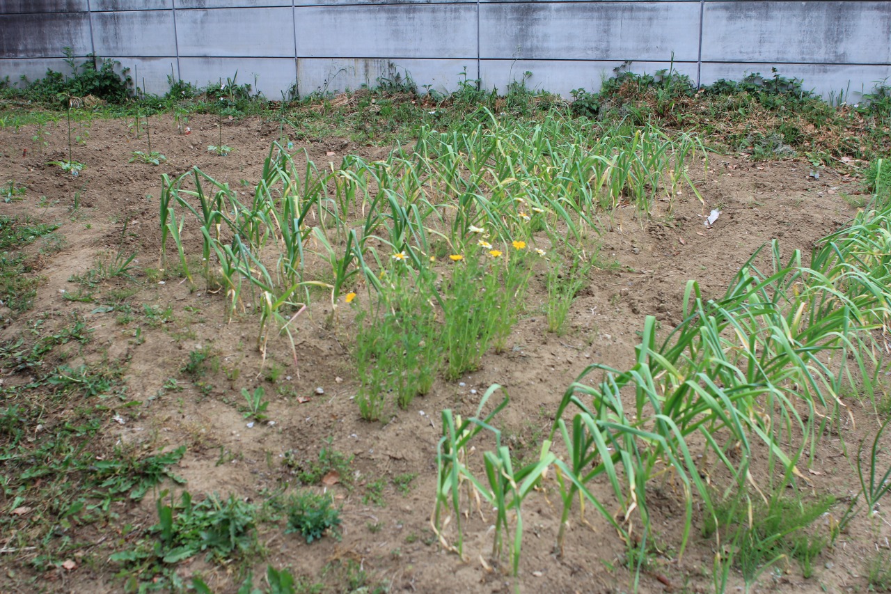 f0225627_2029107.jpg