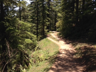 c0051529_10434871.jpg