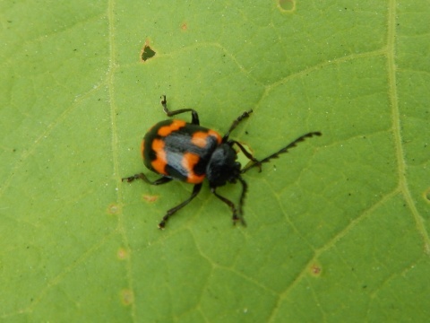 f0118332_21215203.jpg