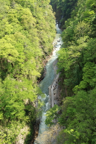 e0221536_11495596.jpg