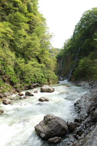 e0221536_11500981.jpg