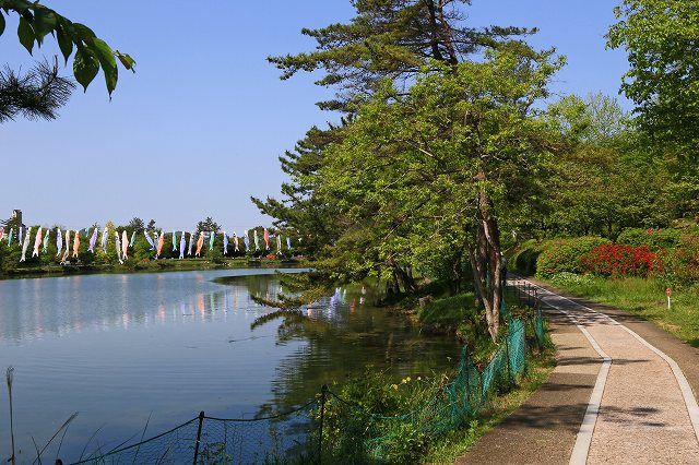 a0242438_19404013.jpg
