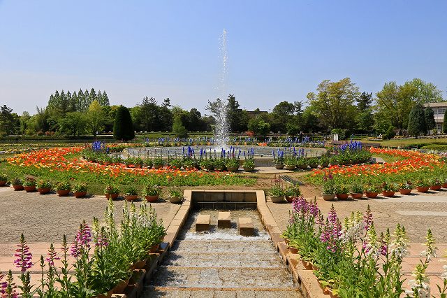 a0242438_1943215.jpg