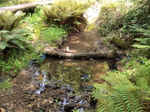 c0097838_14005863.jpg