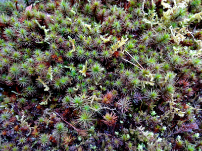 f0141840_00215348.jpg