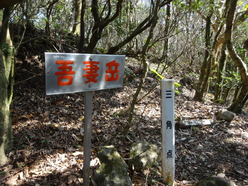 a0289641_2362770.jpg